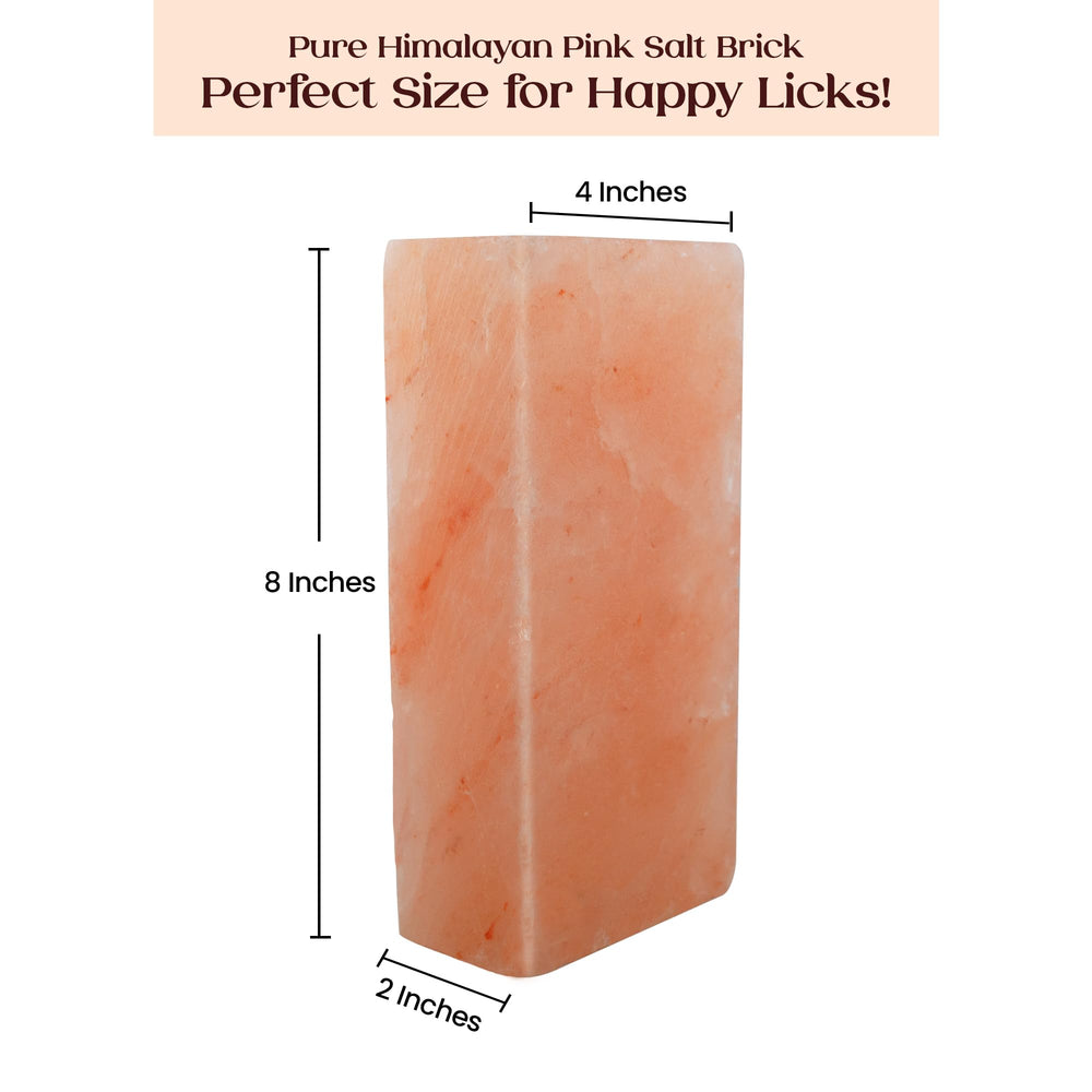 POHS Himalayan salt lick block beside a trail camera attracts deer and supports observation.