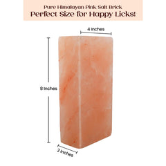 POHS Himalayan salt lick block beside a trail camera attracts deer and supports observation.