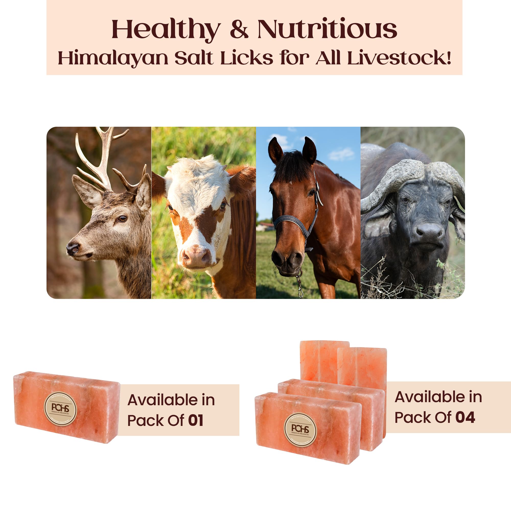 POHS Himalayan salt lick block during a farm day demonstrates easy placement and feeding.