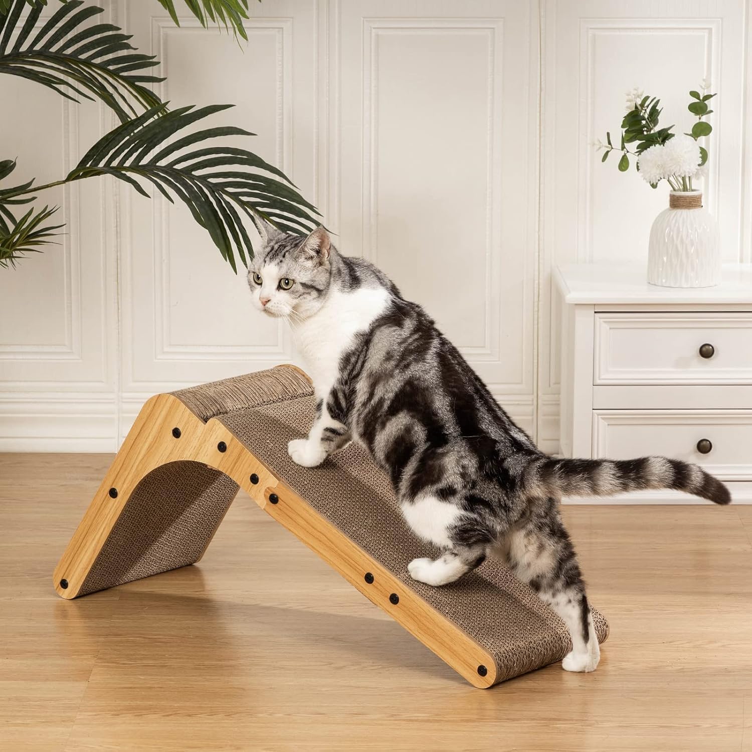 Poils bebe catnip-infused ball toy adds engaging play.