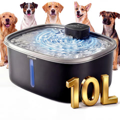 Pokpet water fountain 10L basin for easy hydration and fewer refills.