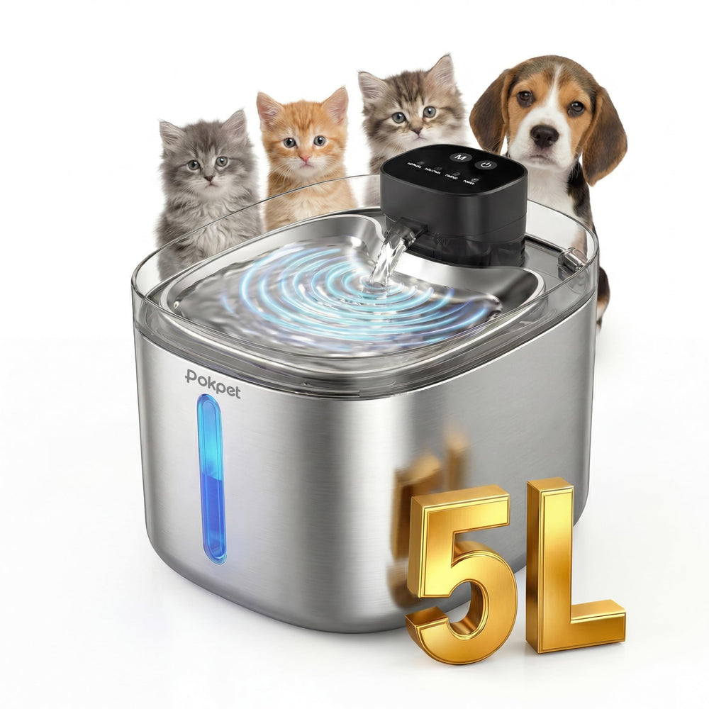 Pokpet water fountain 5L capacity boosts pet hydration at home