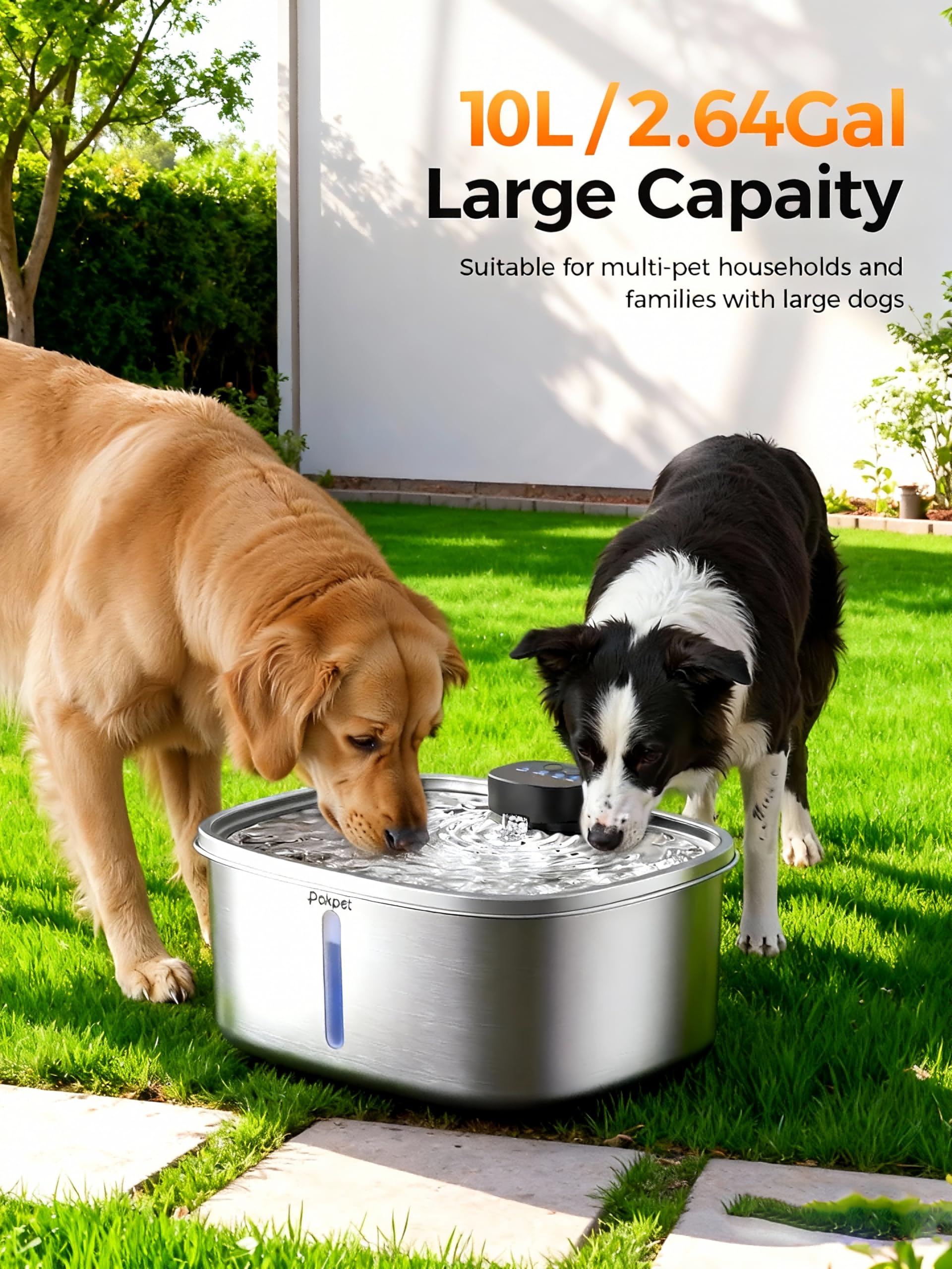 Pokpet motion sensor in action with dogs drinking