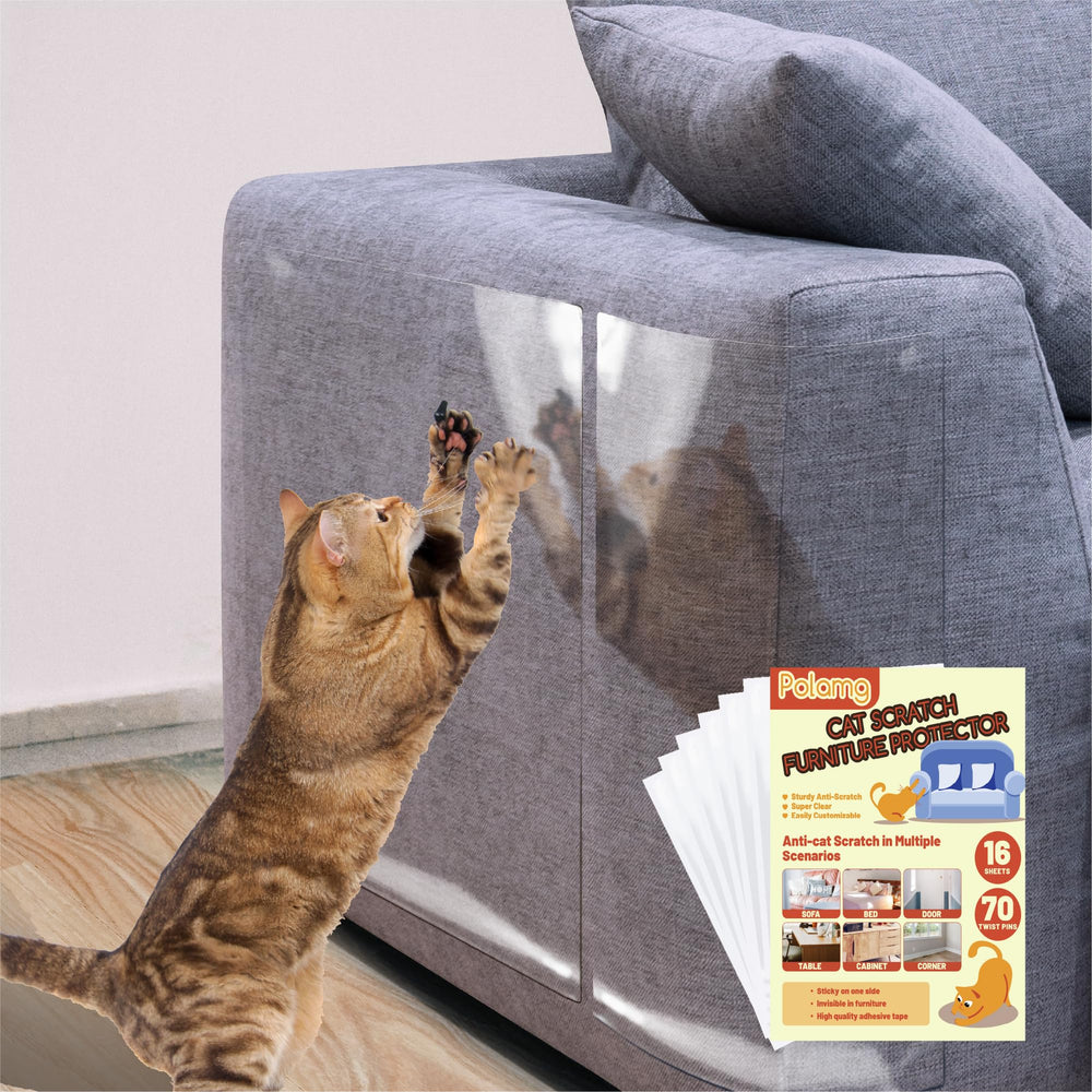 Polamg anti-cat-scratch protector on sofa shields furniture from claws.