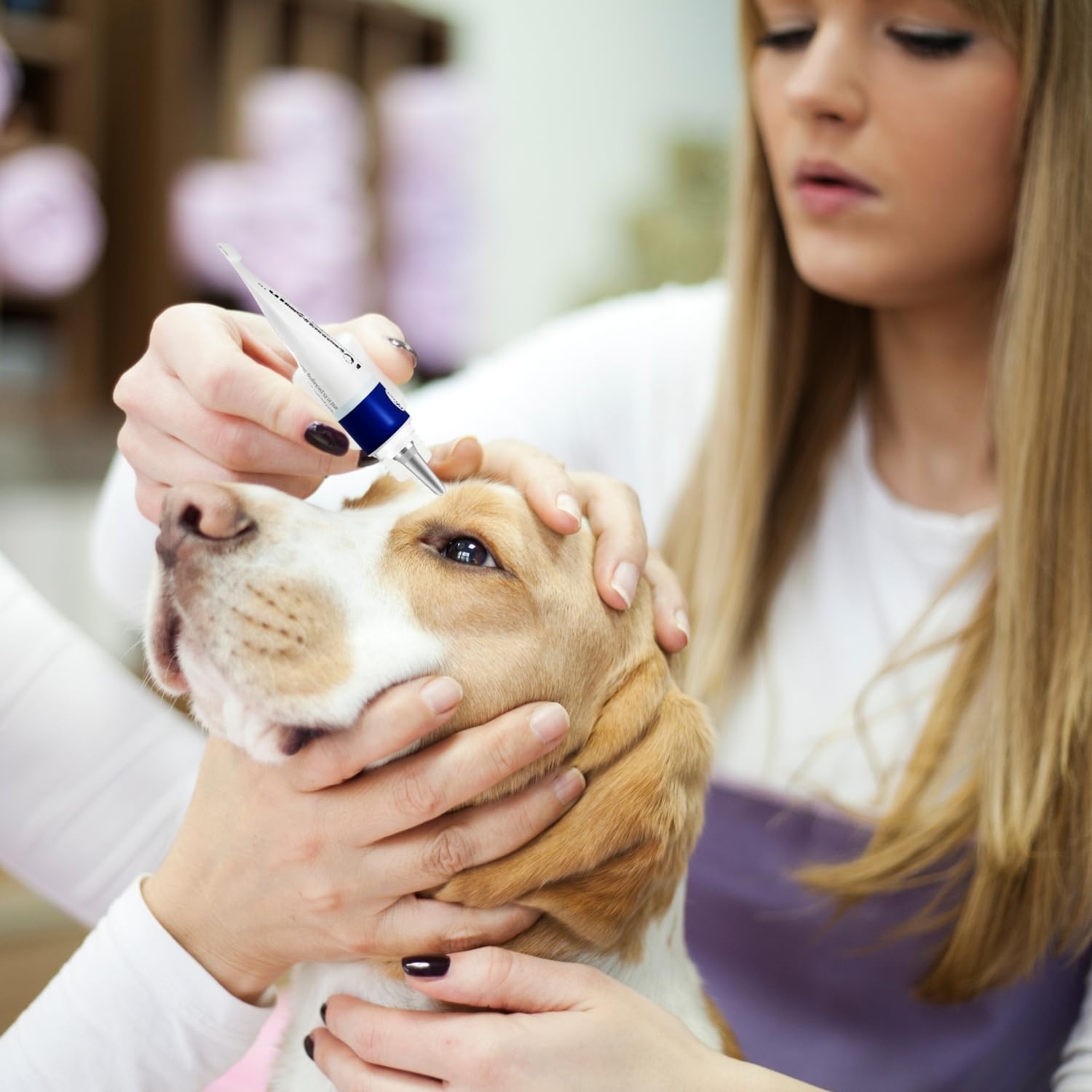 POLKA Terramypol eye ointment used for cat eye care.