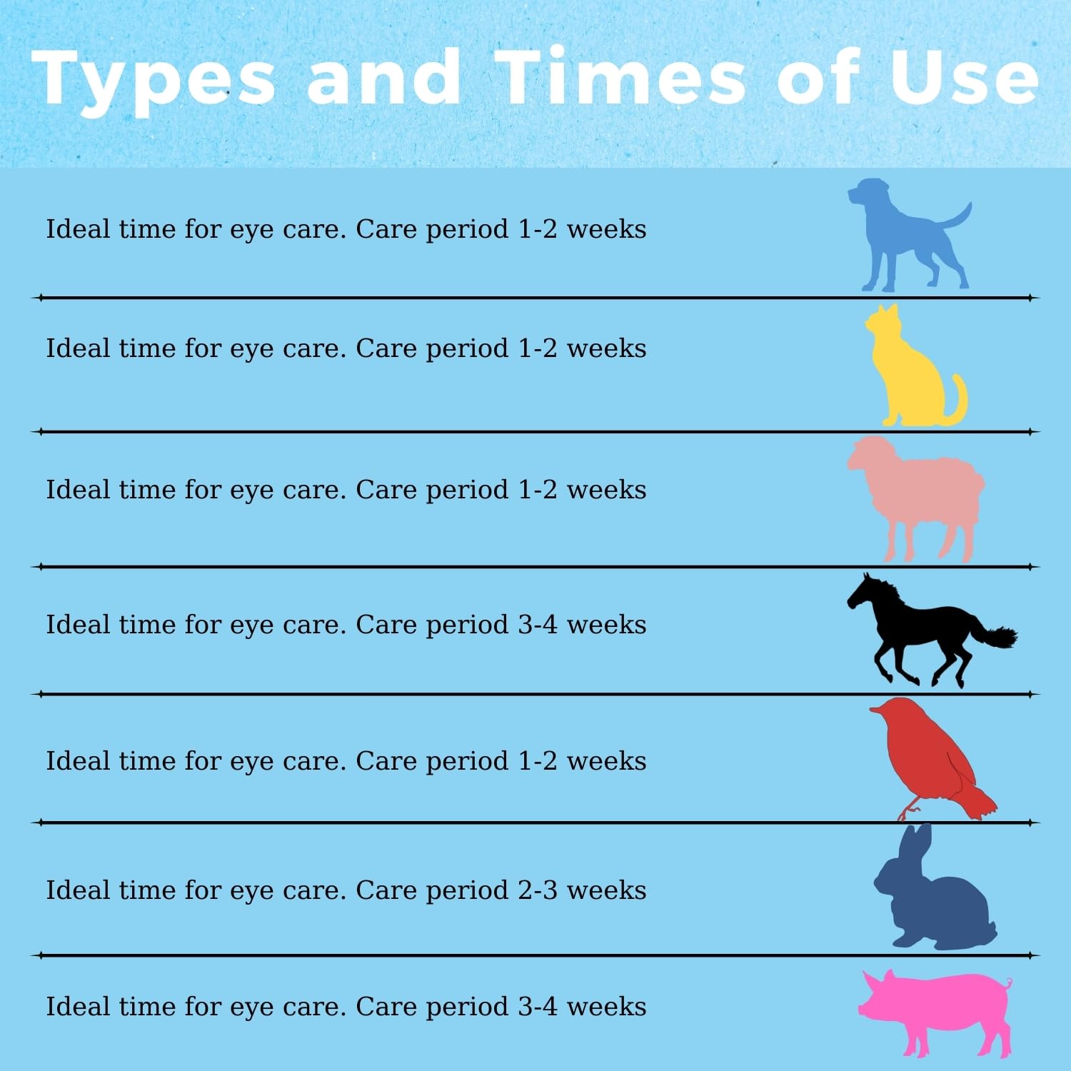 Horse eye care with POLKA Terramypol eye ointment application.