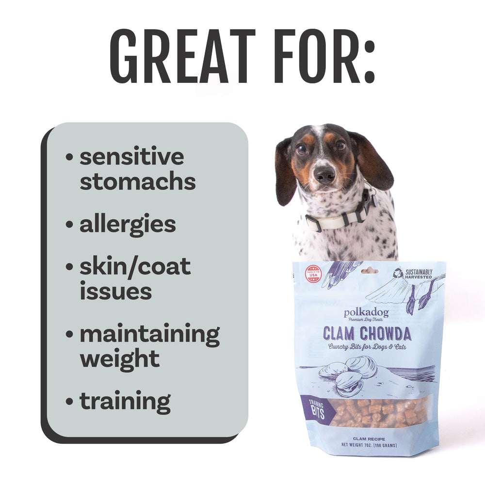 Polkadog allergy-friendly recipe scene suggests gentle ingredients for dogs with sensitivities.