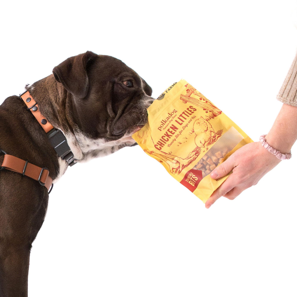 Polkadog Chicken Littles low-calorie bite ready for training sessions
