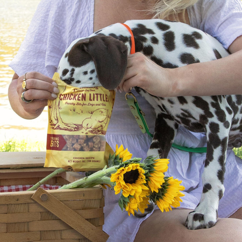Polkadog Chicken Littles preservative-free bites for sensitive stomachs