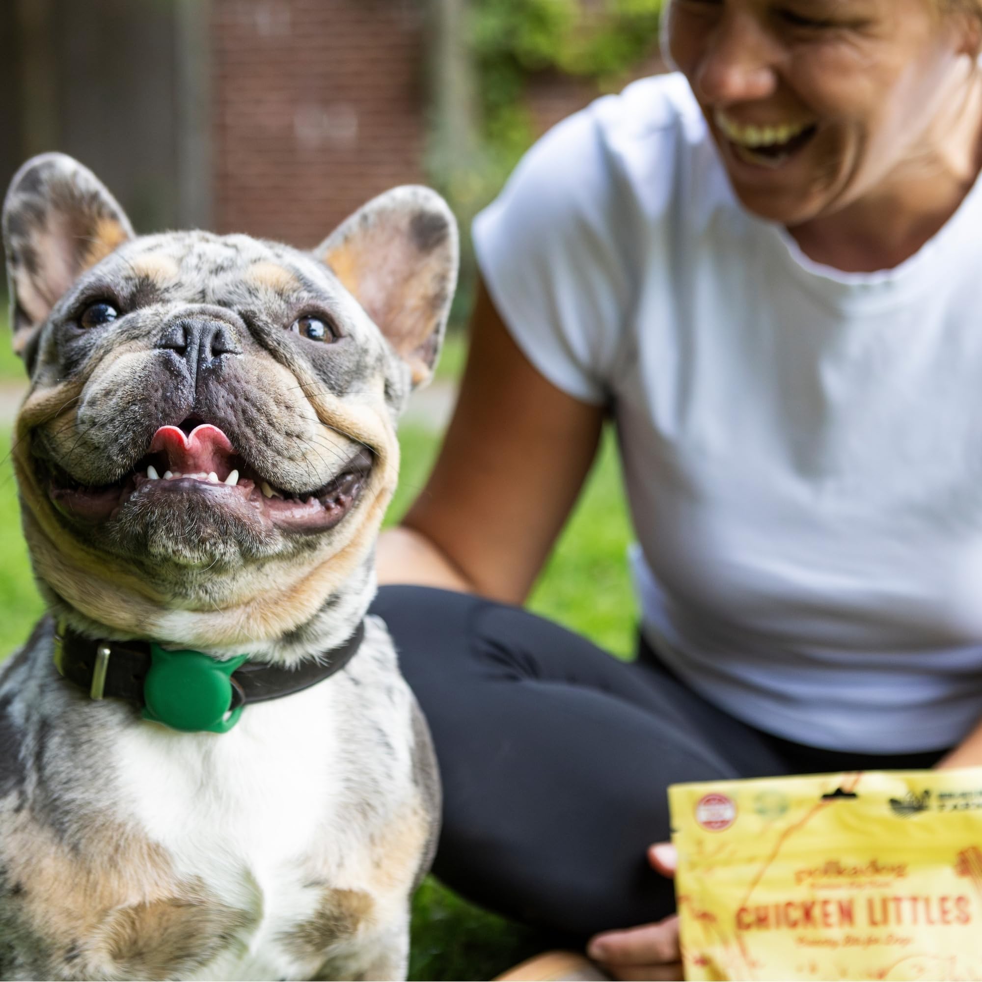 Owner rewards a dog after practice with Polkadog Chicken Littles.