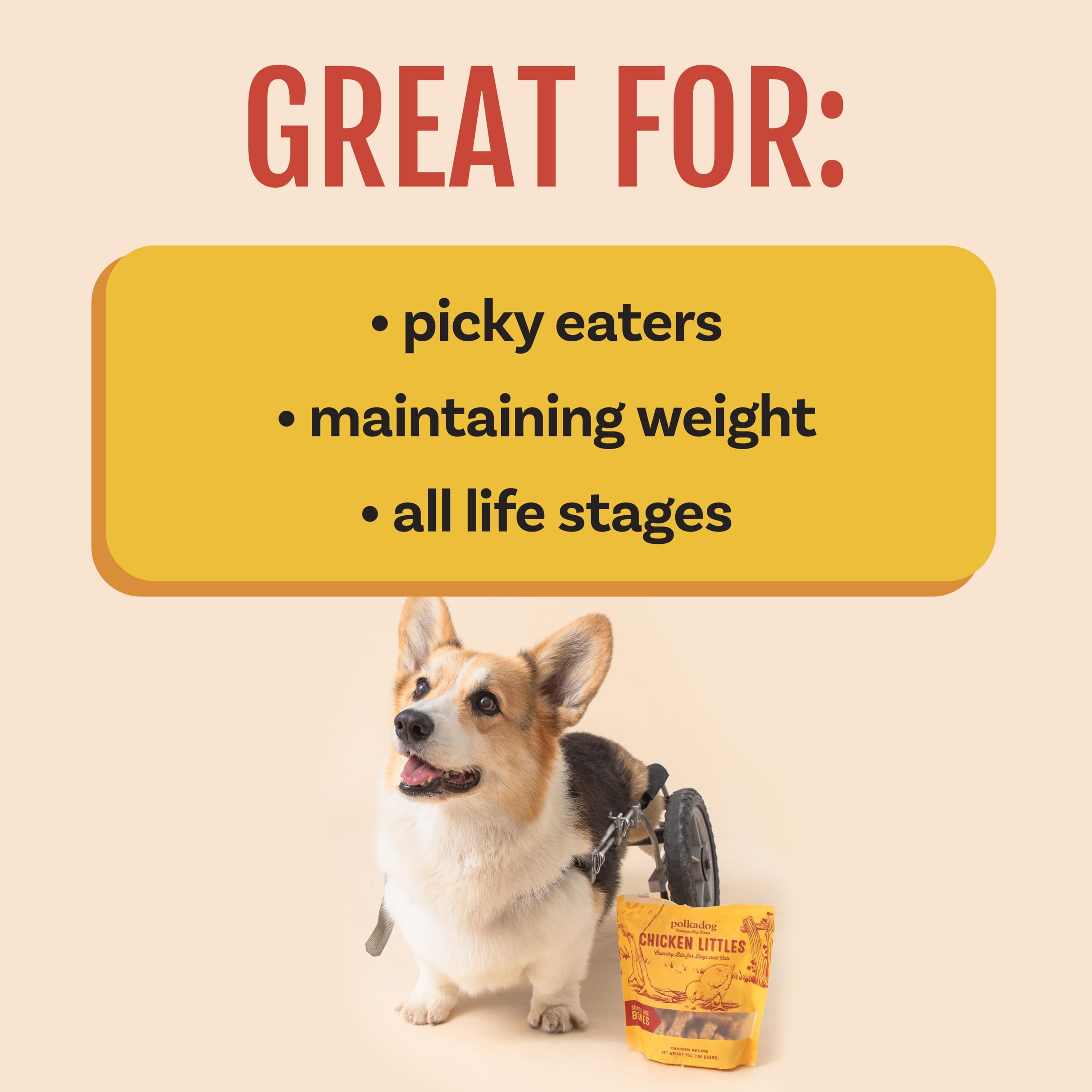 Polkadog Chicken Littles suitable for puppies and seniors with gentle texture