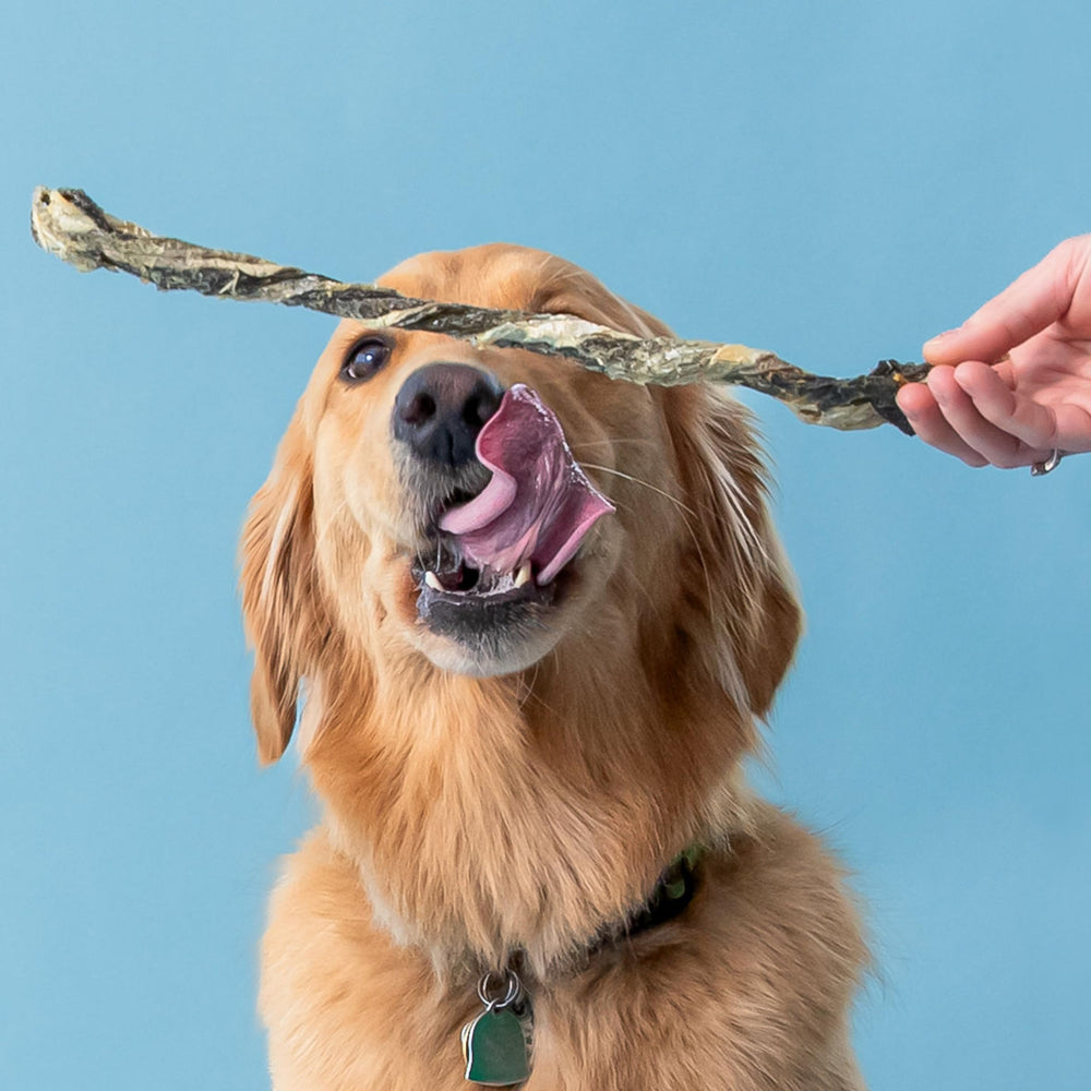 Crunchy Polkadog cod skins may support dental care for dogs.