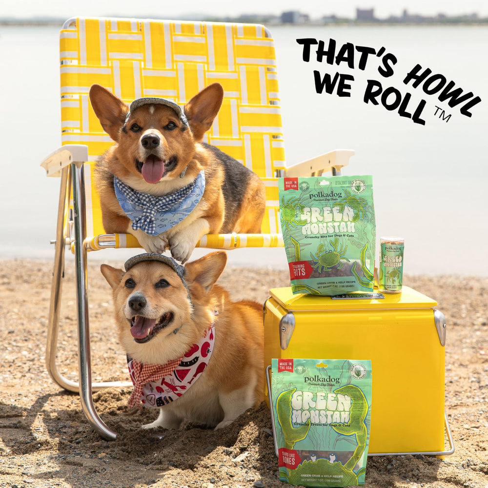 Polkadog locally sourced ingredients emphasize freshness and traceability