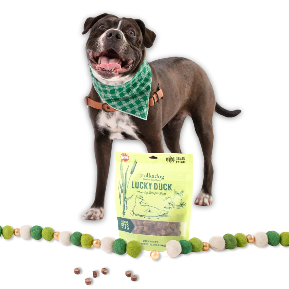 Polkadog Lucky Duck Crunchy Training Bits packaged in a 7oz bag for easy use.