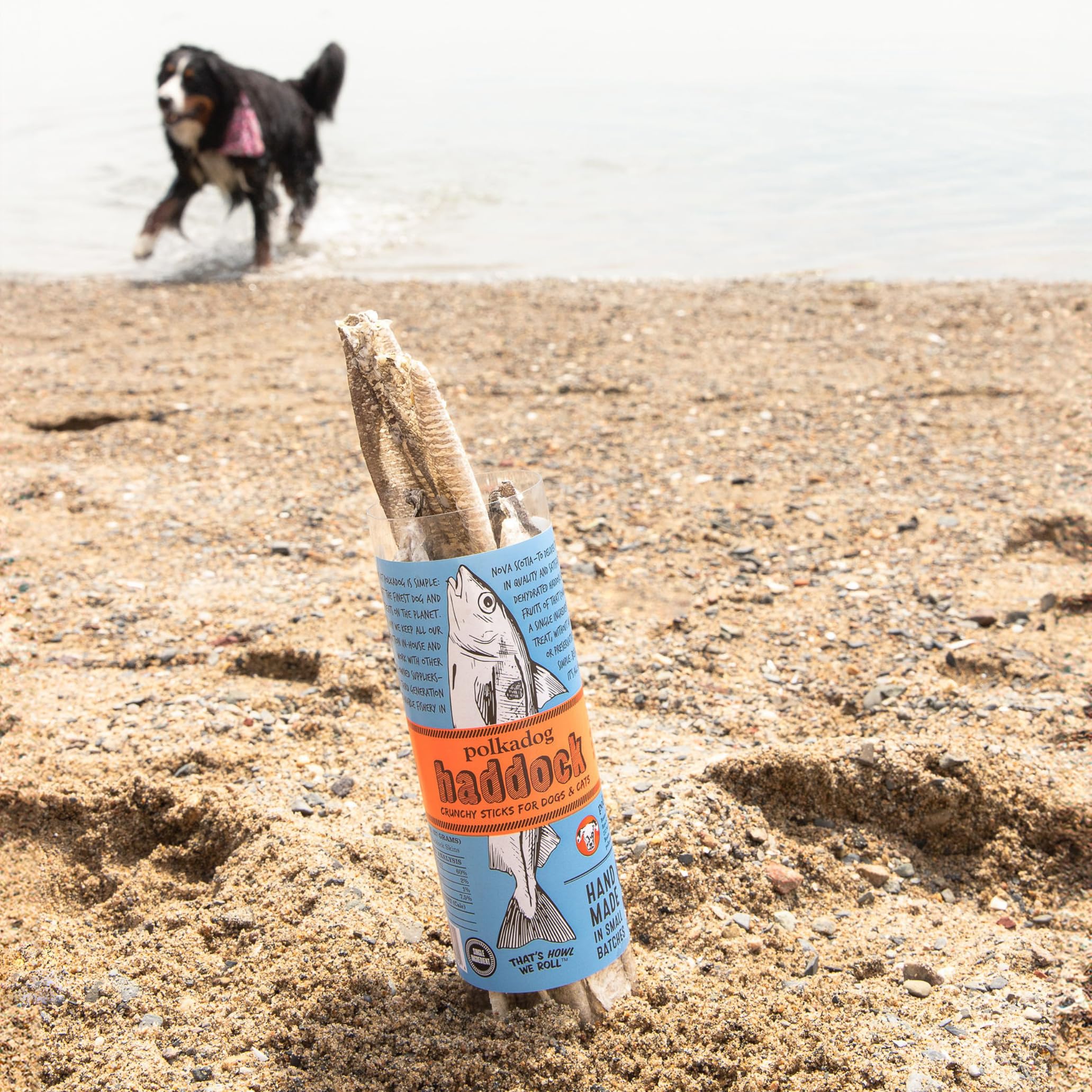 Omega-3 rich haddock skins for healthy skin with Polkadog.