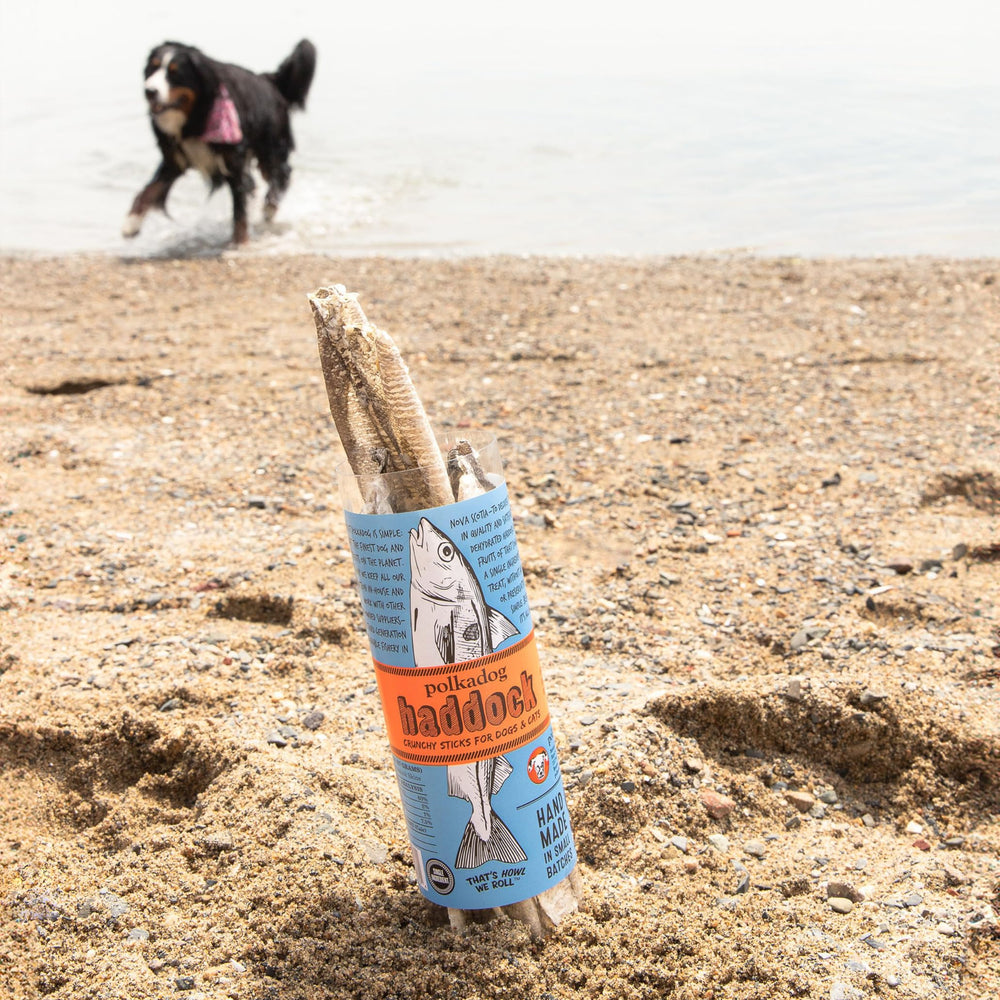 Omega-3 rich haddock skins for healthy skin with Polkadog.