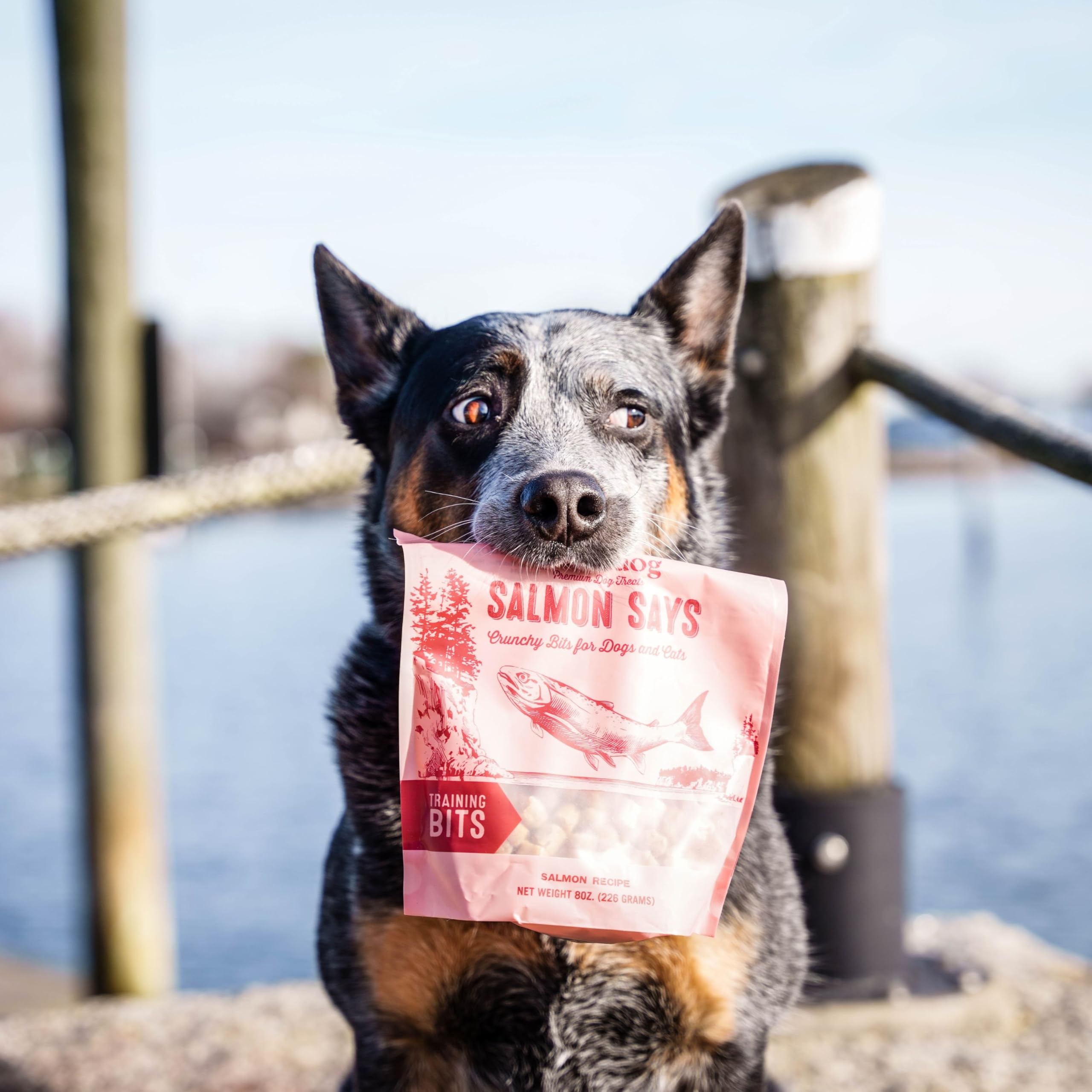 Polkadog Salmon Says Crunchy Training Bits ideal reward for training sessions