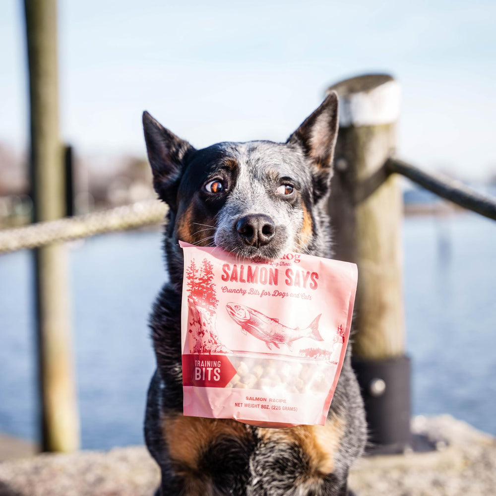 Polkadog Salmon Says Crunchy Training Bits ideal reward for training sessions
