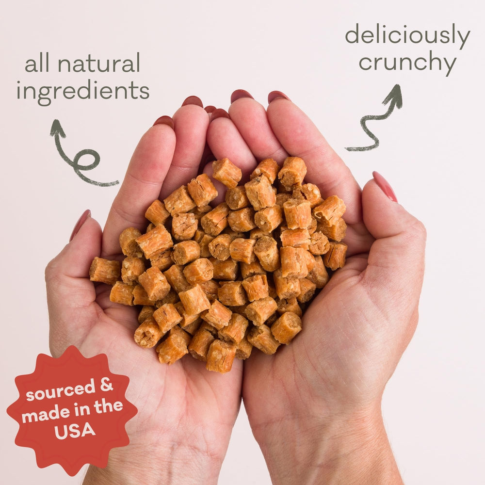 Polkadog Salmon Says Crunchy Training Bits in hand demonstrates portable dog treats