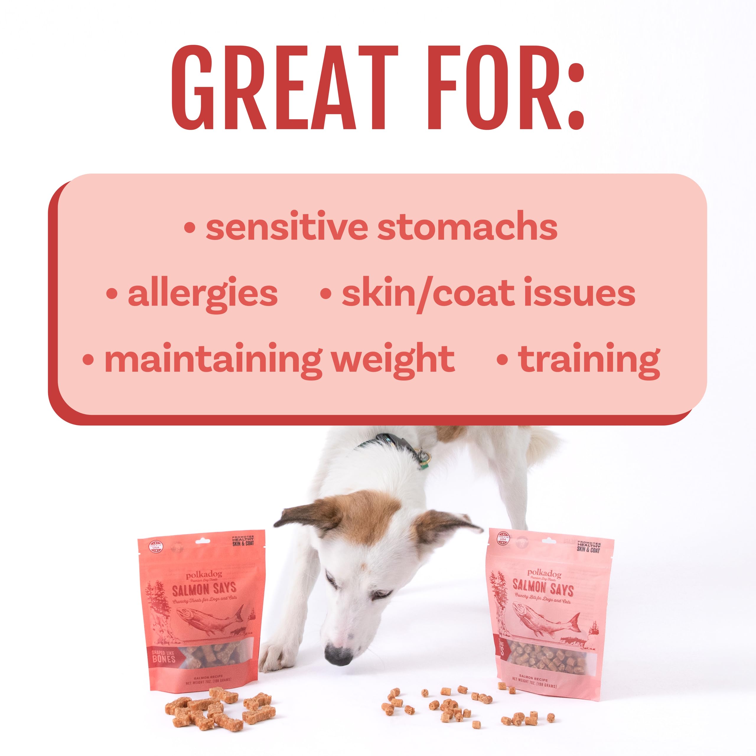 Polkadog Salmon Says Crunchy Training Bits puppy reward during obedience practice