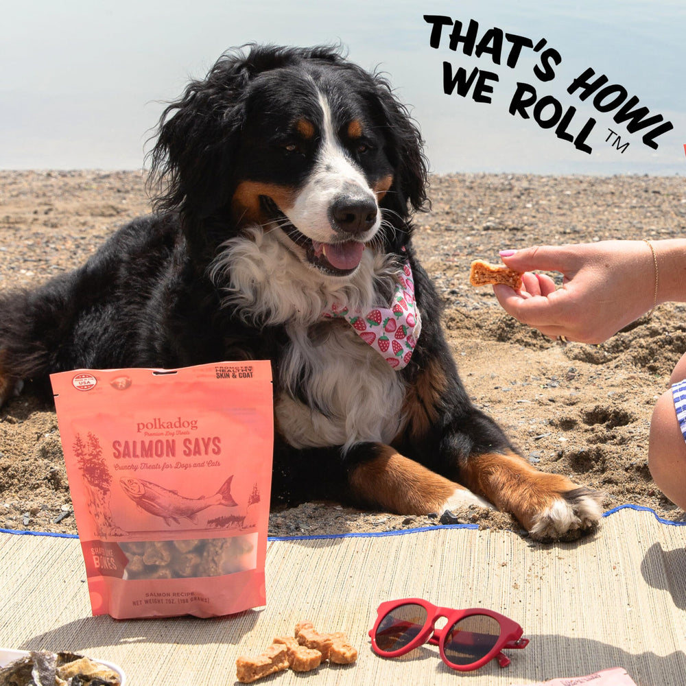 Polkadog Salmon Says fresh local ingredients highlight quality and flavor.