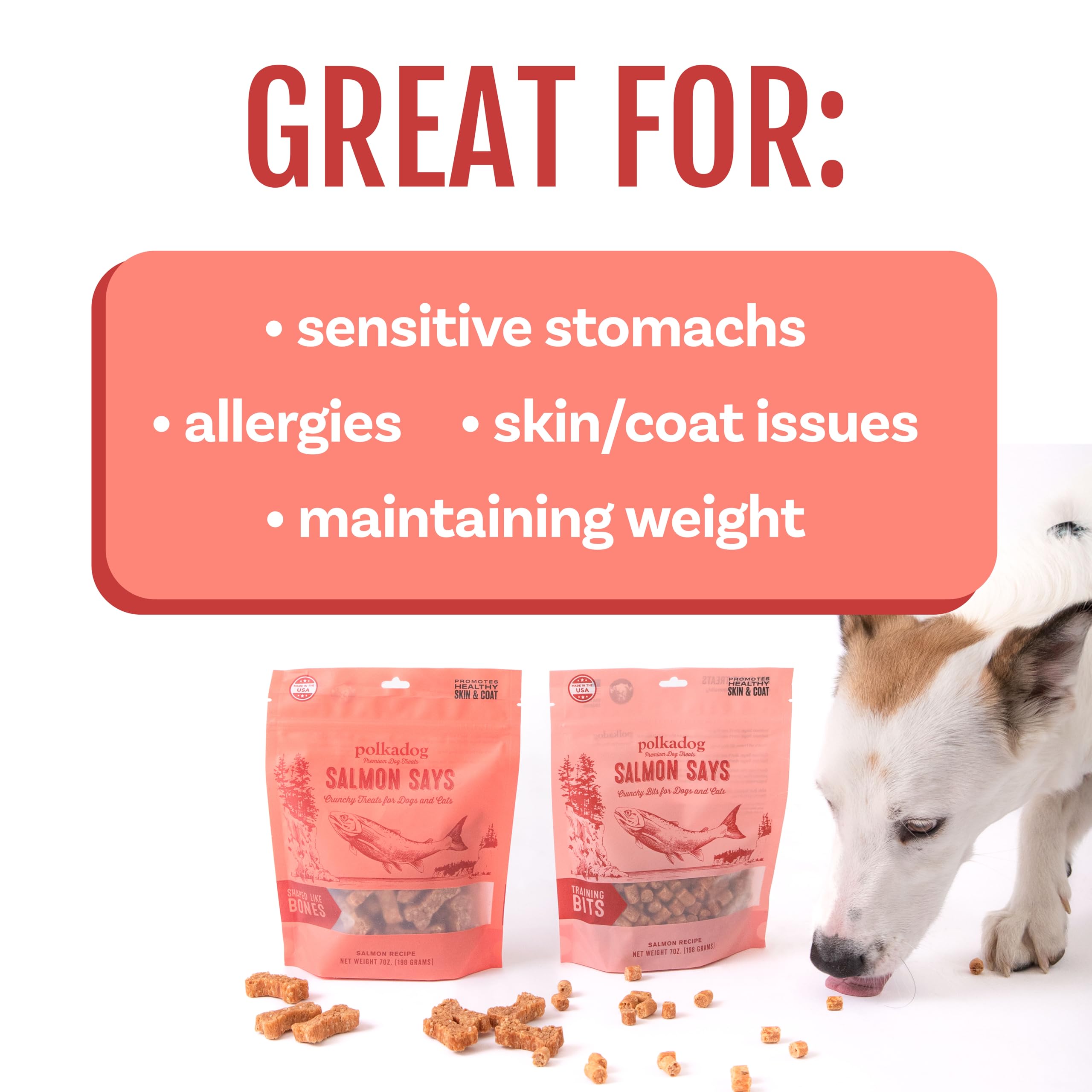 Polkadog Salmon Says omega-3 rich snack supports coat shine and skin health.