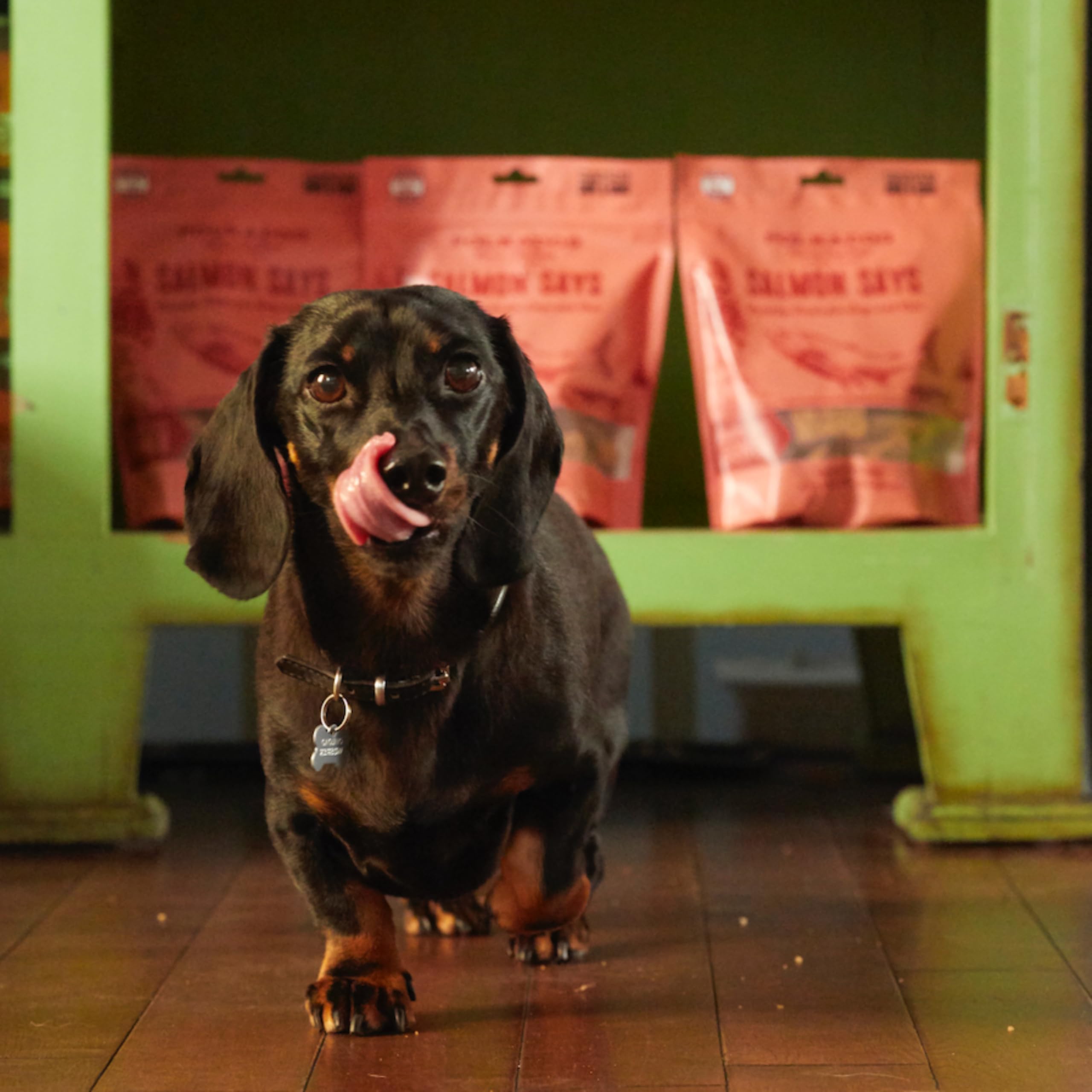 Polkadog Salmon Says suitable for all breeds during daily treats.