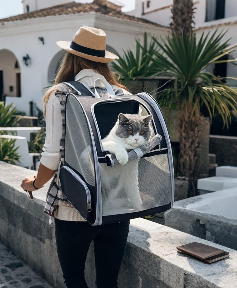Pollason cat backpack reflective strips, improve visibility during evening walks.
