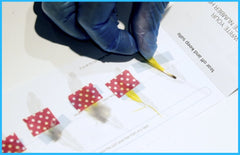 Pollygene certificate of results shown with bird details and originator information