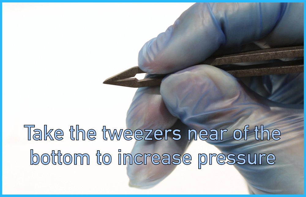 Pollygene digital sample card illustrates quicker setup and tracking for bird samples