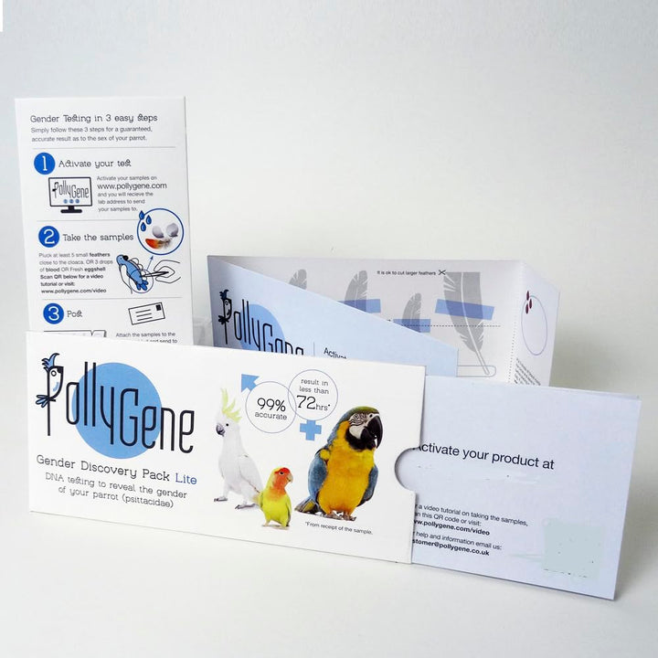 Pollygene parrot DNA test kit visual: clear, home-friendly gender reveal for your feathered companion
