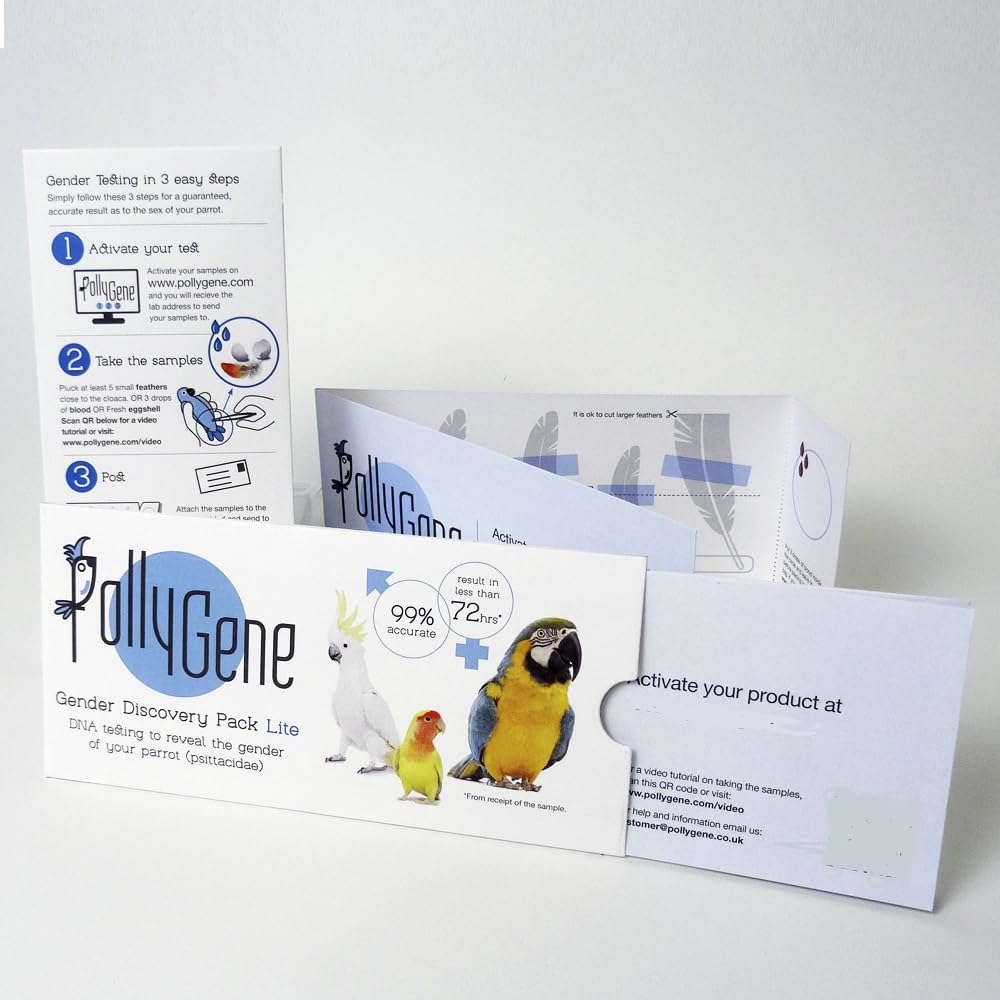 Pollygene parrot DNA test kit visual: clear, home-friendly gender reveal for your feathered companion