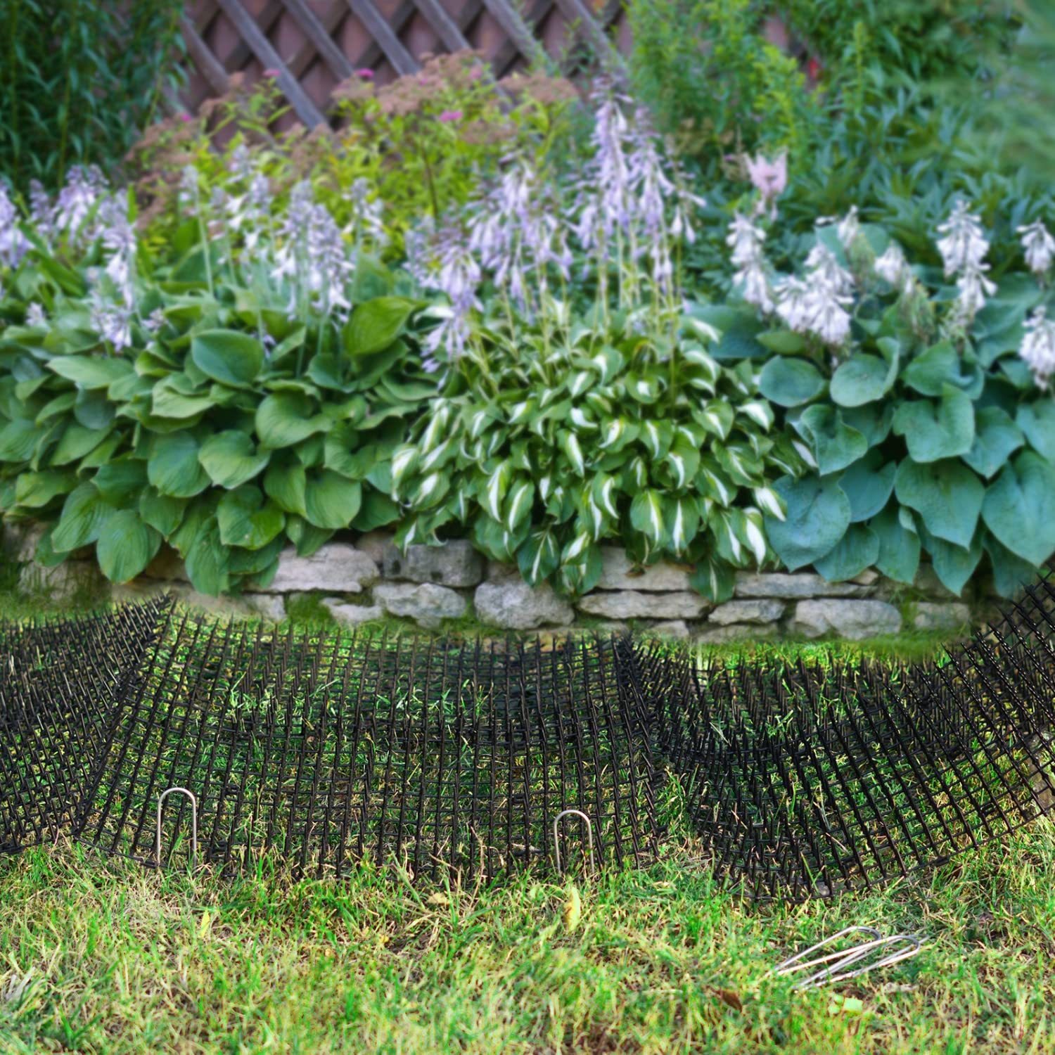 Close-up of Pomeat scat mat spikes showing humane deterrent