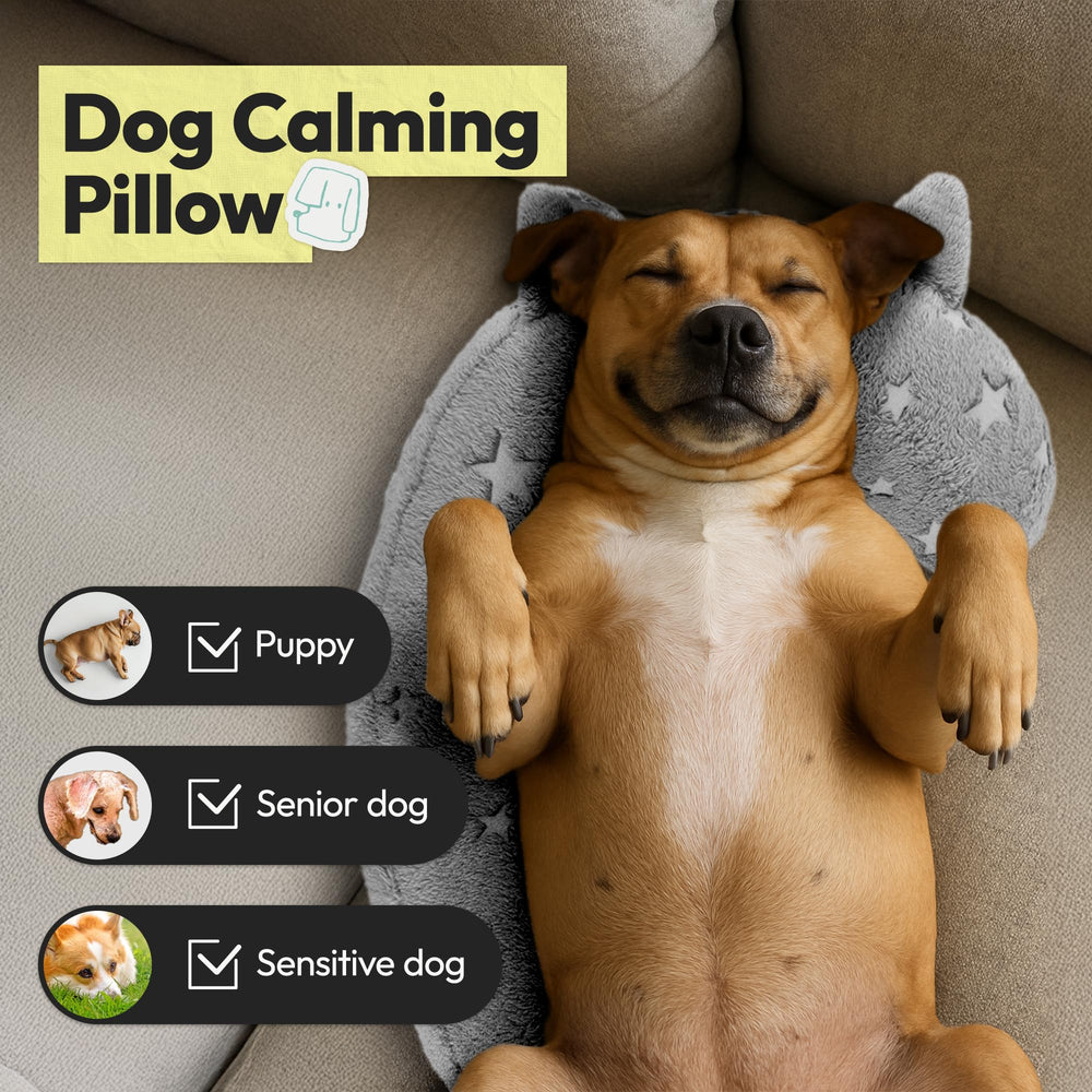 POMESEA question-mark dog pillow offers ergonomic neck support.