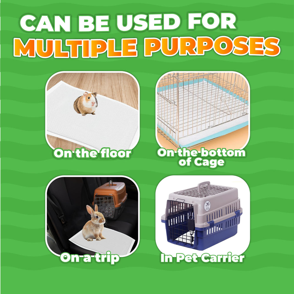 POMPET odor-control liner helps maintain a fresh living space.
