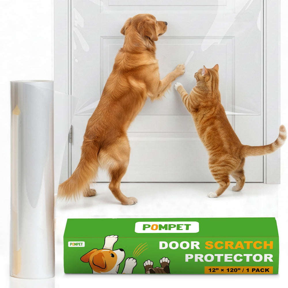 POMPET waterproof scratch film stays clear and durable during daily use.