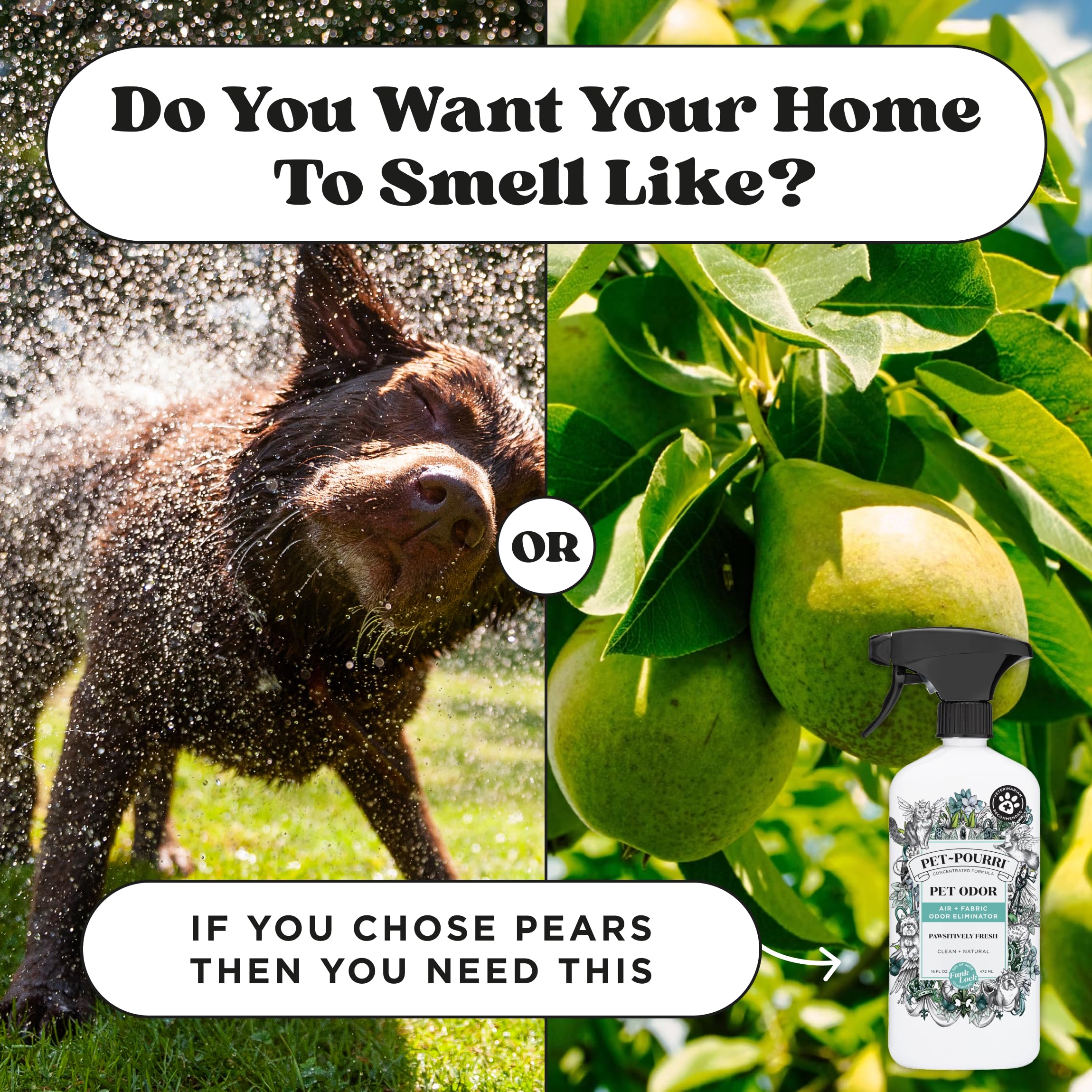 Poo-Pourri Pawsitively Fresh candle burns up to 45 hours for lasting freshness