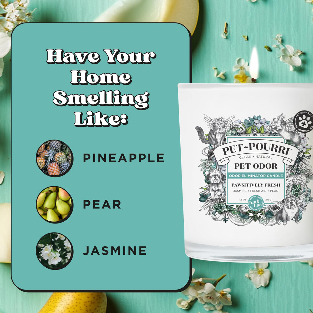 Poo-Pourri Pawsitively Fresh candle in a room scene highlighting pet-friendly use