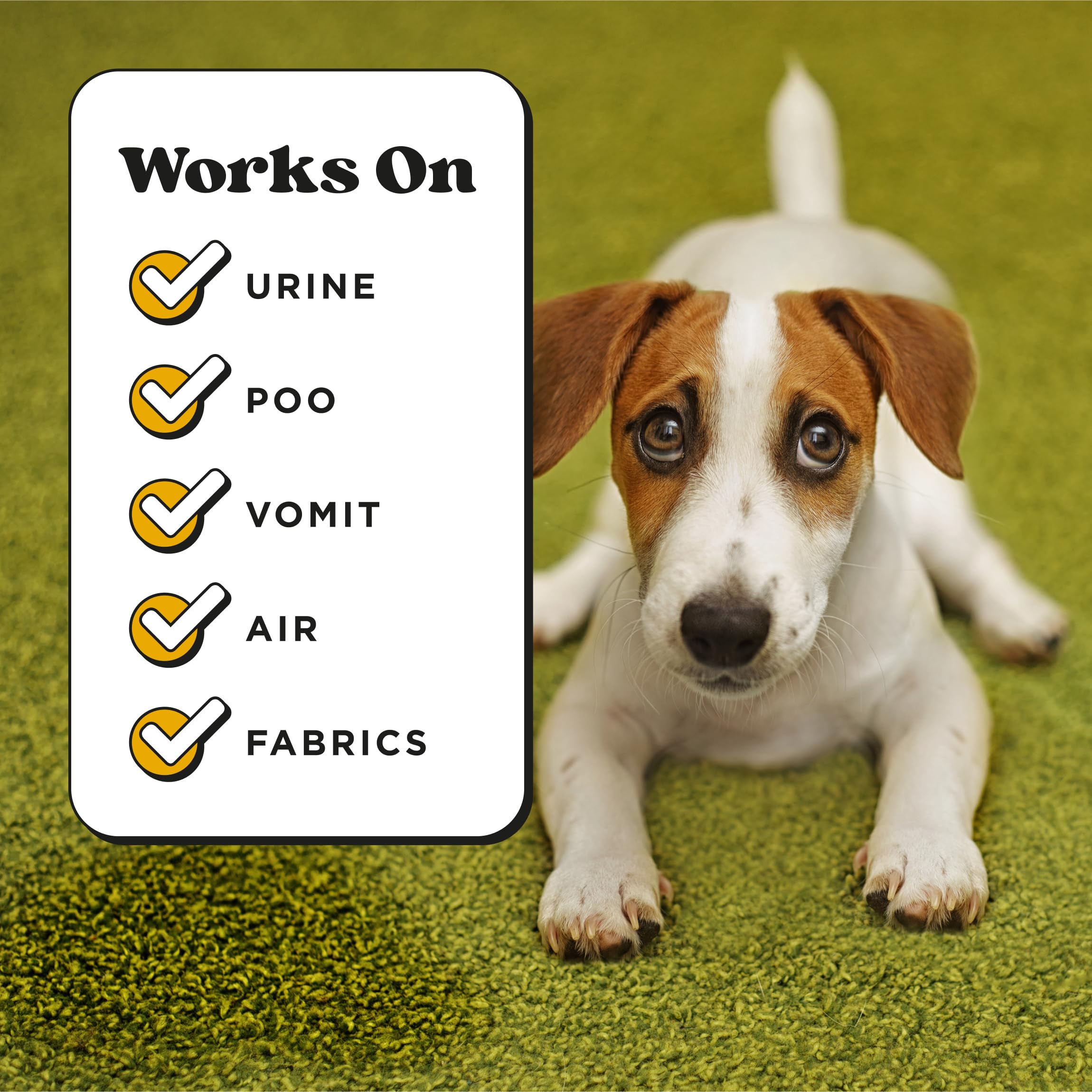 Poo-Pourri Pet-Pourri air freshener neutralizes canine odors in rooms