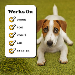 Poo-Pourri Pet-Pourri air freshener neutralizes canine odors in rooms