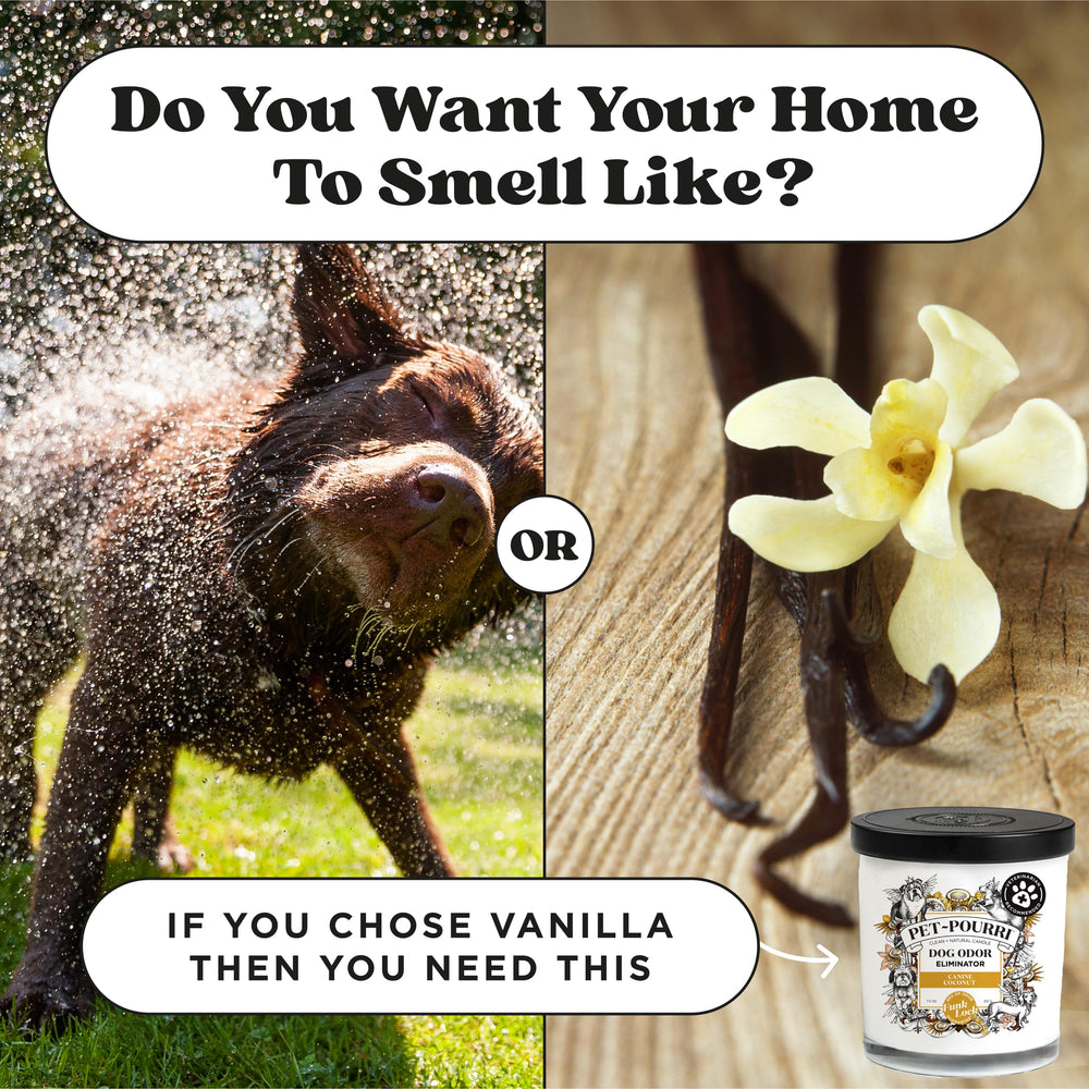 Poo-Pourri Canine Coconut Candle scent notes include bamboo, jasmine and pear