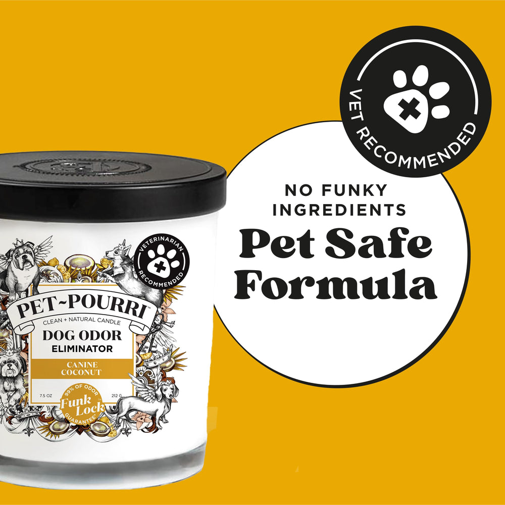 Poo-Pourri Canine Coconut Candle wooden wick glows warmly, creating a cozy, pet-safe ambiance