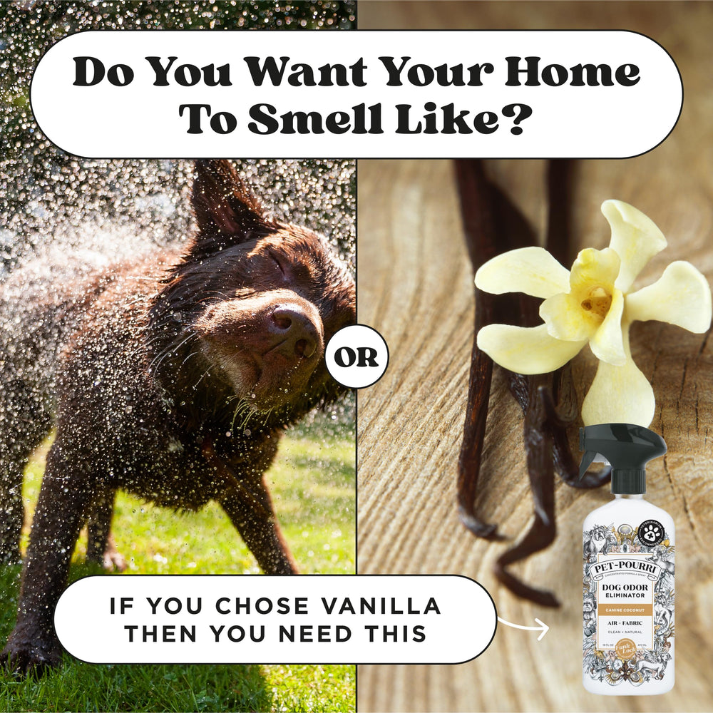 Poo-Pourri Pet-Pourri coconut-scented upholstery keeps living areas inviting