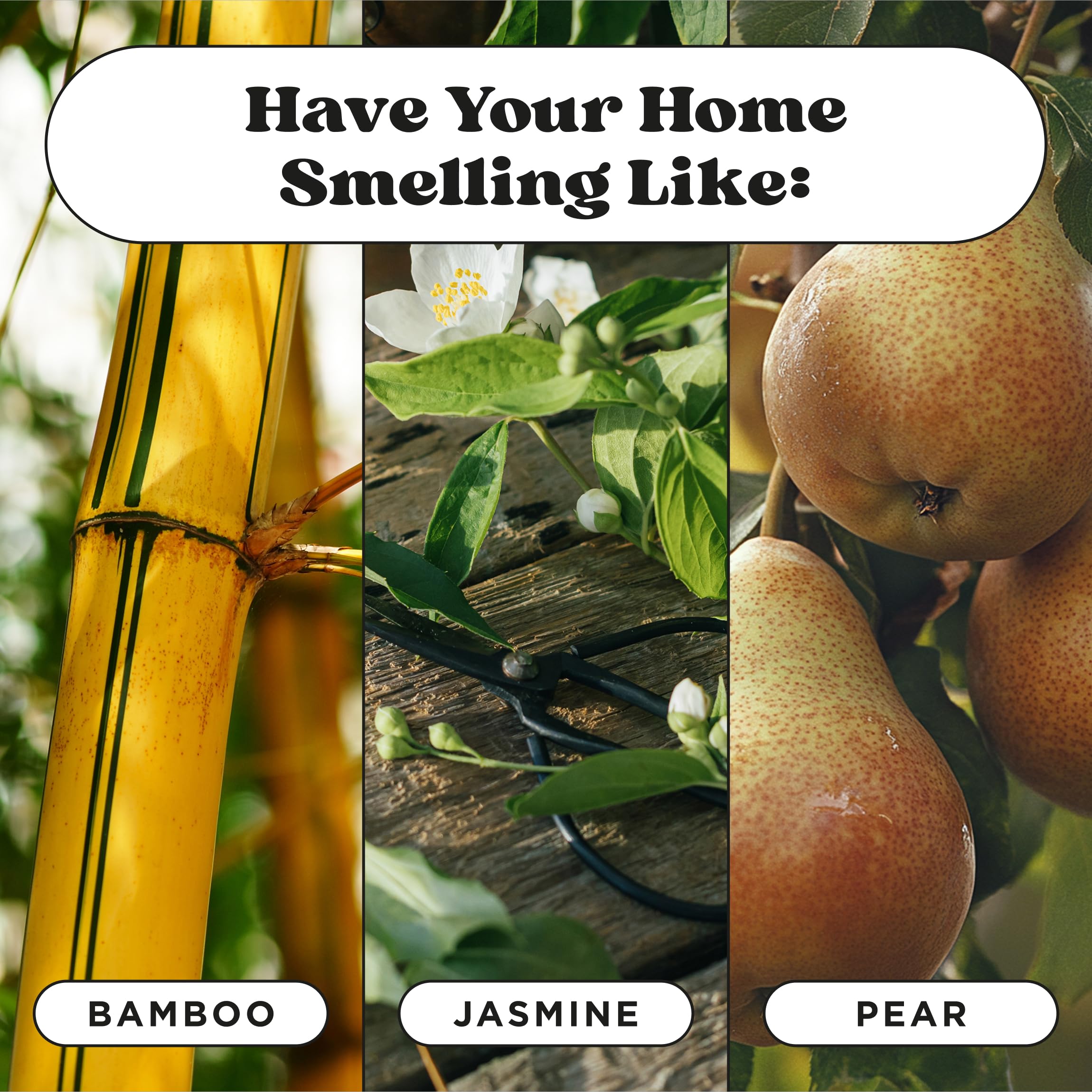 Poo-Pourri Purrfectly Bamboo plant-based formula is safe for direct litter use.