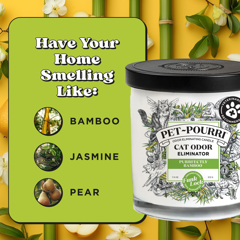 Living room scene with Poo-Pourri candle providing kitty-friendly scent balance