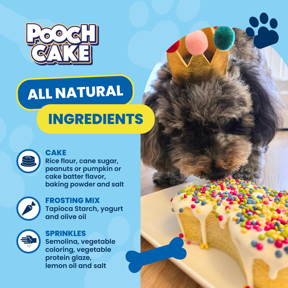 Pooch Cake dog birthday cake mix prep—easy, mess-free home baking.
