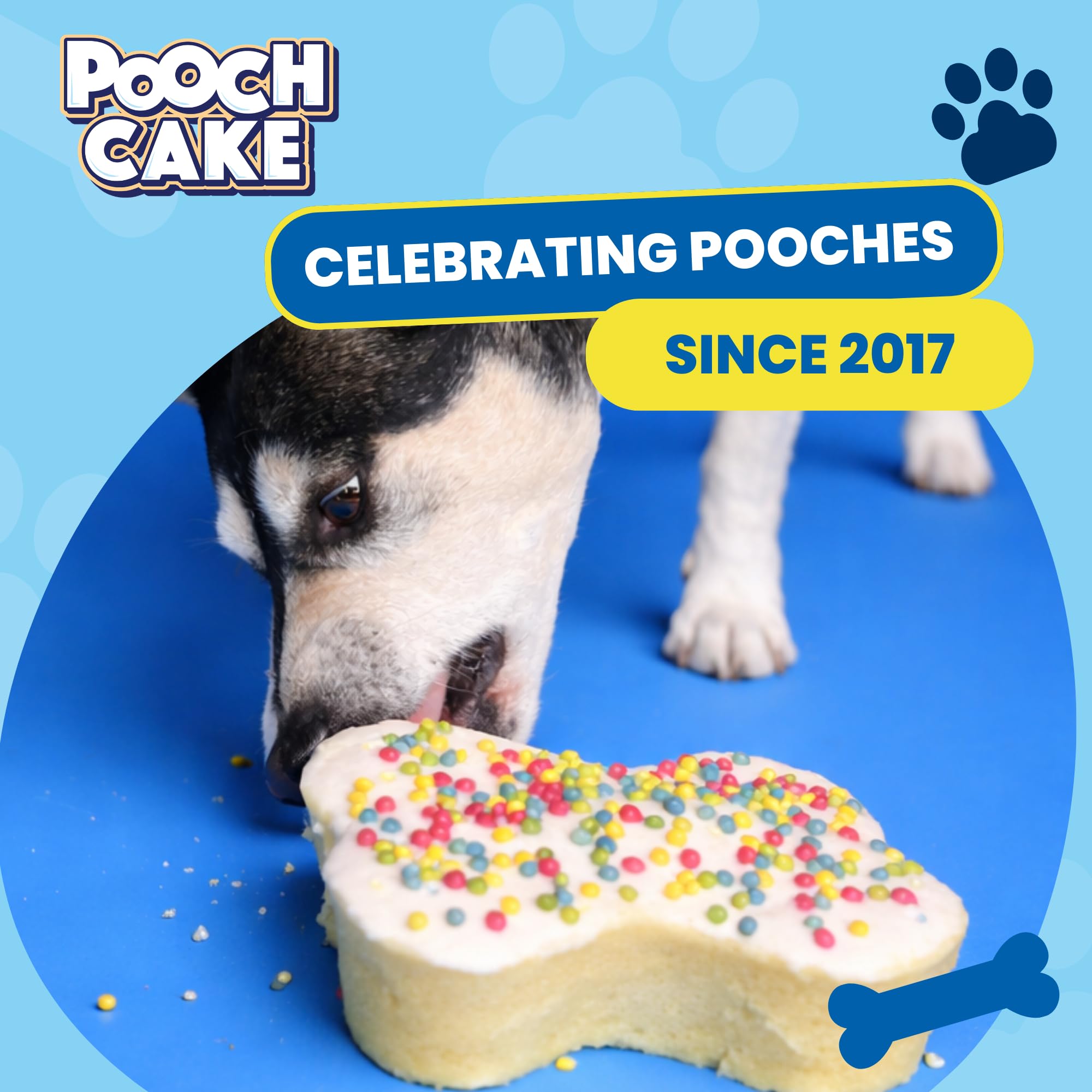 Pooch Cake dog icing mix—finishes the cake with a tasty glaze.