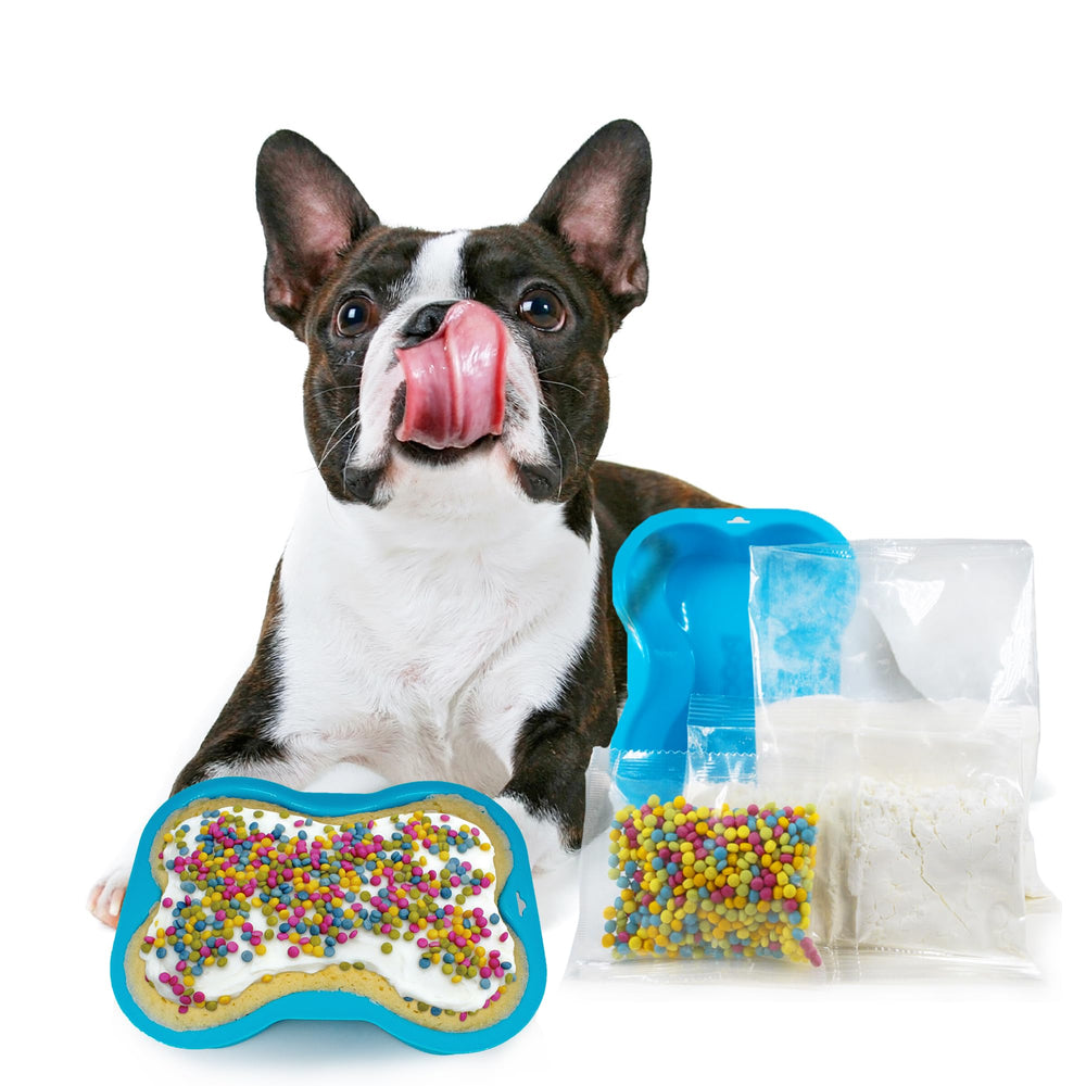 Pooch Cake ready-to-serve cake—shareable treat for pup celebrations.