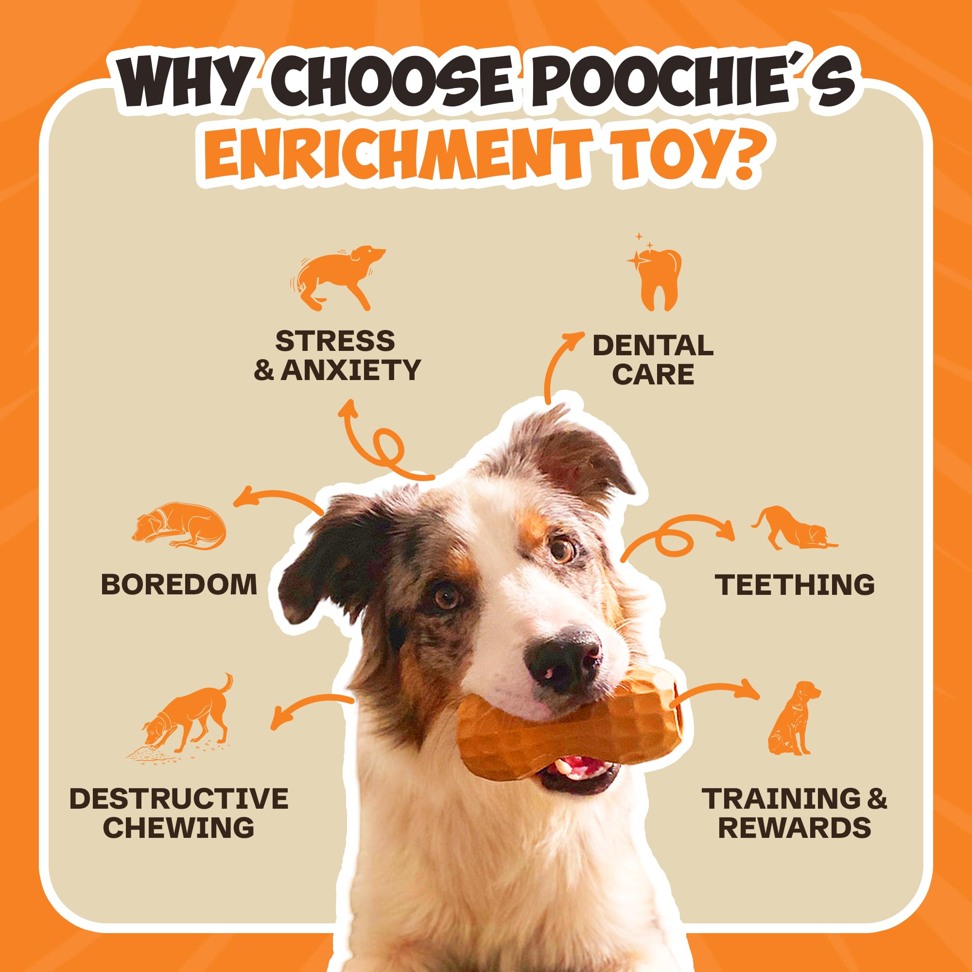 Poochie Butter dog toy in action as a dog chews and explores the flavor lure.