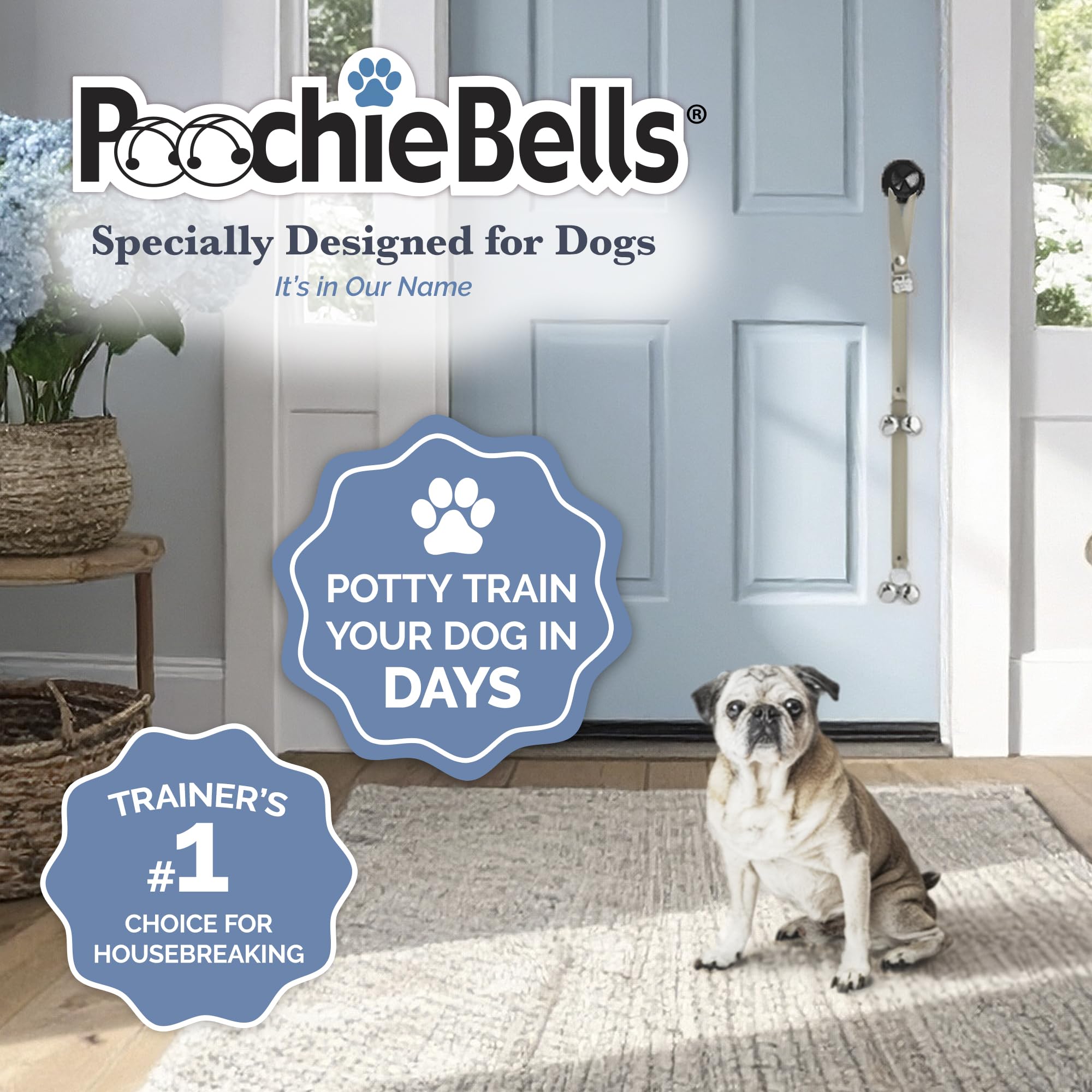 PoochieBells paw-inscribed steel bells close-up showing durable, paw-friendly design.